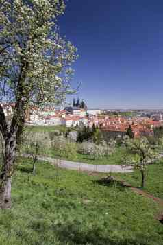布拉格布拉格城堡垂直视图petrin山