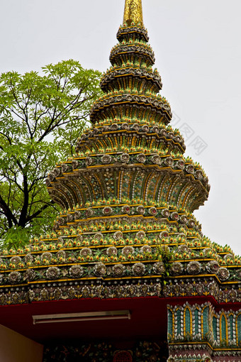 泰国曼谷雨寺庙树