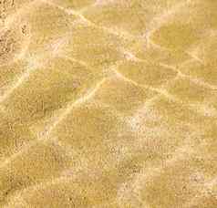 沙丘摩洛哥非洲棕色（的）海岸线湿沙子海滩跳