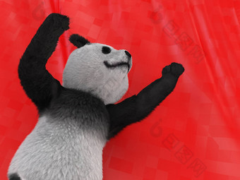 陆地动物熊猫熊本地的中央中国公认的大独特的黑色的补丁眼睛耳朵轮身体黑白外套保护的依赖濒临灭绝的物种