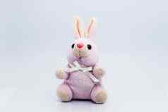 有趣的针织兔子玩具孤立的白色背景