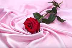 红色的玫瑰粉红色的丝绸背景