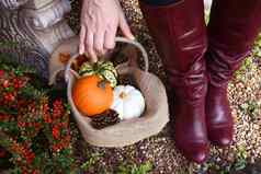 女人红色的靴子挑选篮子秋天葫芦