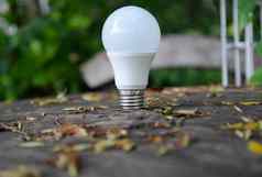 领导灯泡技术环保照明