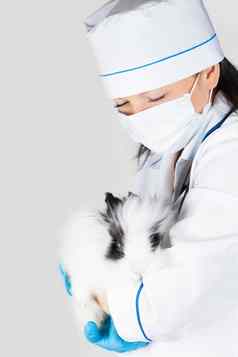 医生装饰白色兔子