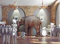 大象平静餐厅