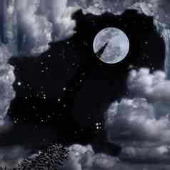 蝙蝠美丽的完整的月亮天空