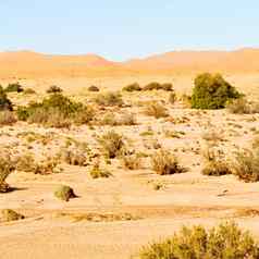 山化石沙漠摩洛哥撒哈拉沙漠岩石