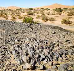 化石沙漠摩洛哥撒哈拉沙漠岩石石头天空