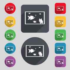 水族馆鱼水图标标志集彩色的按钮长影子