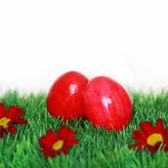红色的鸡蛋绿色草地