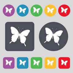 蝴蝶图标标志集彩色的按钮平设计