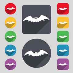 蝙蝠图标标志集彩色的按钮长影子平设计
