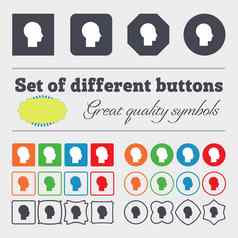 用户标志图标人象征集色彩鲜艳的按钮大集色彩斑斓的多样化的高质量的按钮