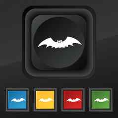 蝙蝠图标象征集色彩斑斓的时尚的按钮黑色的纹理设计