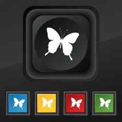 蝴蝶图标象征集色彩斑斓的时尚的按钮黑色的纹理设计