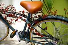 花室内设计自行车
