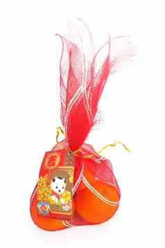 橙子中国人一年红色的袋中国人一年装饰