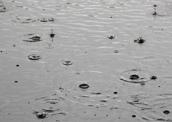 夏<strong>天降</strong>雨单雨滴水表面