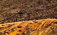 沙漠视图红色的岩石峡谷国家公园美国