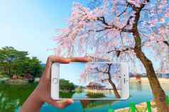 手持有聪明的电话照片Gyeongbokgung宫