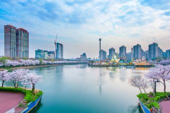 韩国城市景观很多世界樱桃开花节日