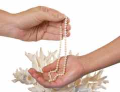 珍珠项链手背景珊瑚