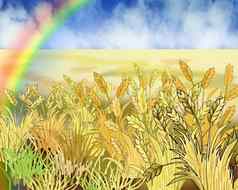 彩虹小麦场夏天一天