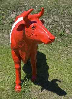 红色的牛