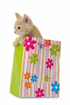 小猫购物袋