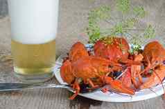 煮熟的淡水小龙虾莳萝啤酒