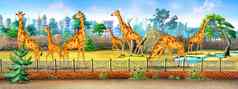 长颈鹿动物园完整的颜色插图