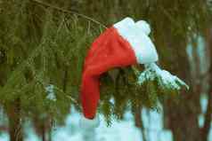 红色的圣诞老人他圣诞节树冬天森林