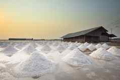 堆咸收获包括哪些传统盐农场类