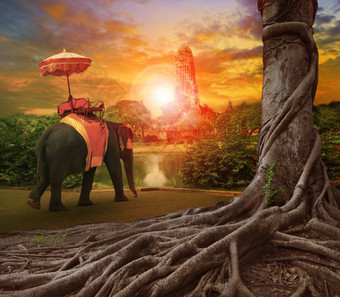 泰国大象王国伞古老的宫宝塔禁止