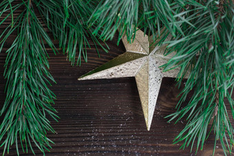 圣诞节作文金明星点缀圣诞节树麸皮