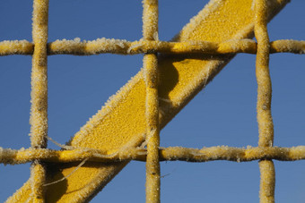 白霜涂层黄色的金属栅栏