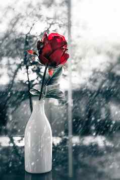 红色的玫瑰花玻璃花瓶