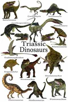 三叠纪恐龙