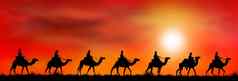 商队骆驼日落