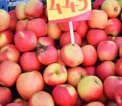 红色的苹果销售蔬菜水果零售商蔬菜水果零售商