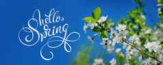 美丽的盛开的春天花园背景蓝色的天空文本春天书法刻字