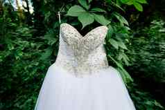 美丽的白色婚礼衣服挂树艾薇阳光明媚的一天花边前婚礼衣服