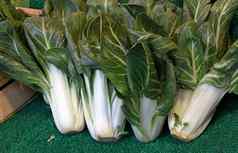 新鲜的绿色山羊白菜中国人卷心菜叶子