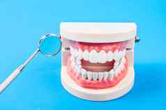 白色牙齿模型牙科仪器