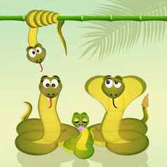 家庭蛇