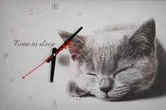 动物艺术猫时钟装饰猫首页装饰哺乳动物睡眠计时器