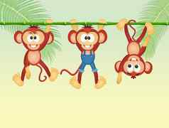 猴子丛林