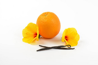 芙蓉橙色香草豆荚