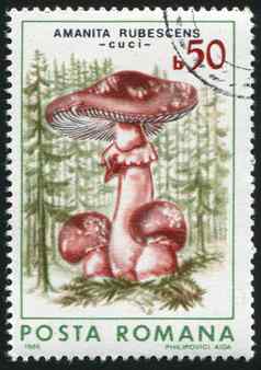 poststamp